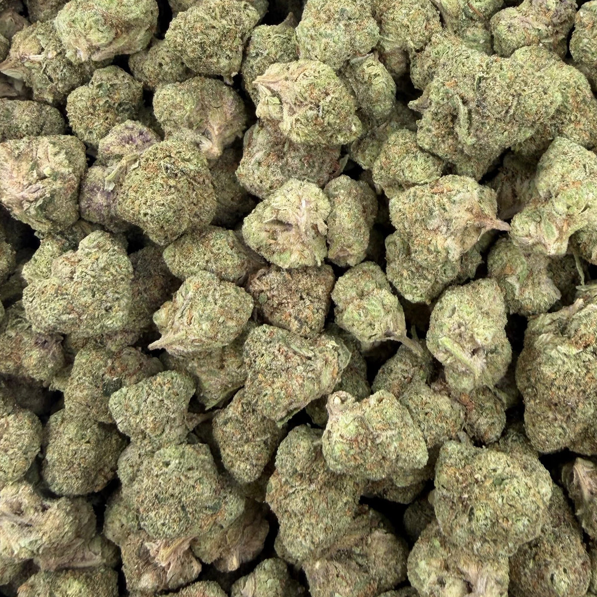 Lemon Gas Mask bulk THCA flower — Plain Jane 1 lb