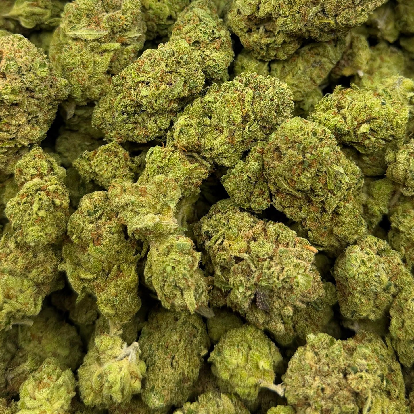 Lemon Haze bulk THCA flower — Plain Jane 1 lb