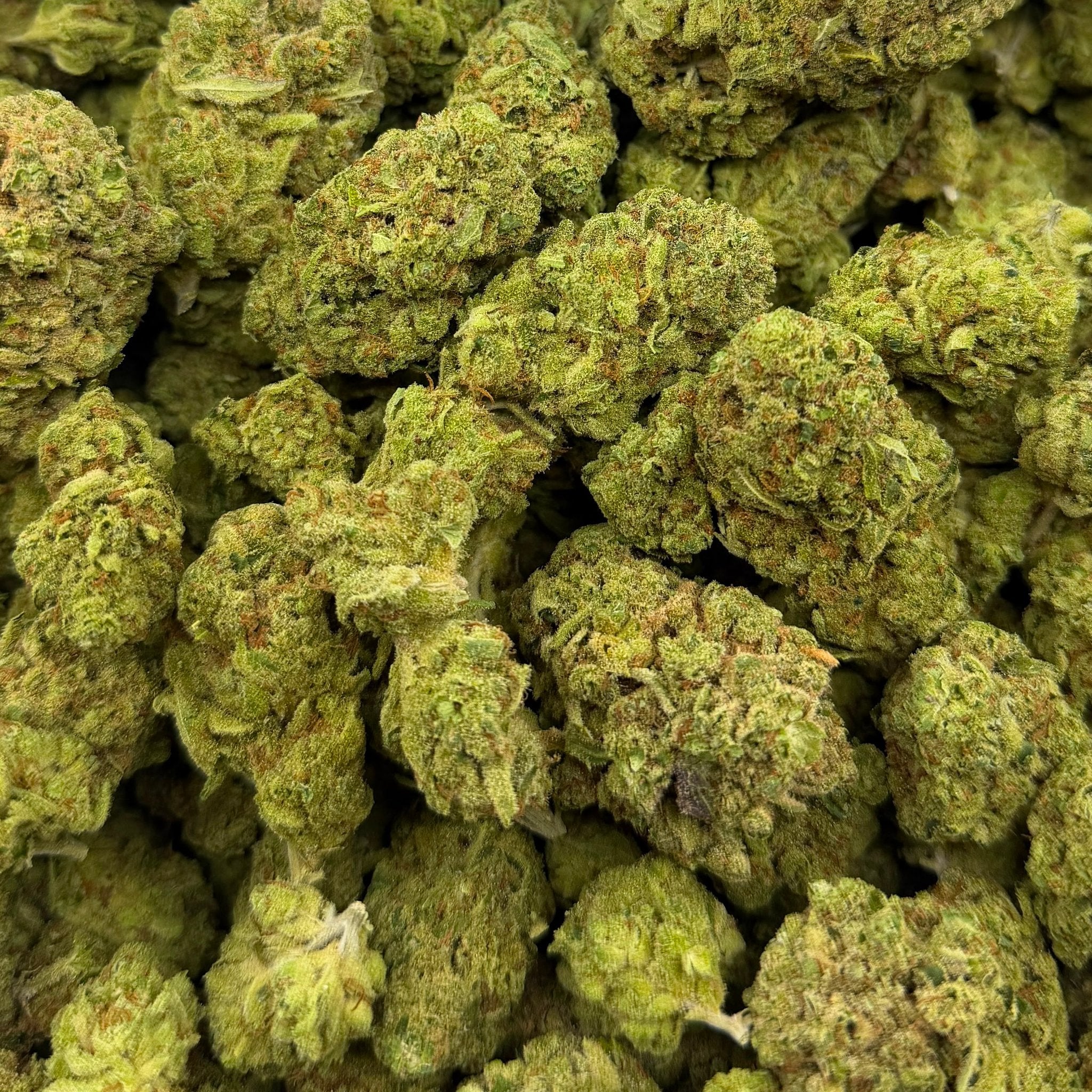 Lemon Haze bulk THCA flower — Plain Jane 1 lb