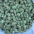 Lemon Headz bulk THCA flower — Plain Jane 1 lb