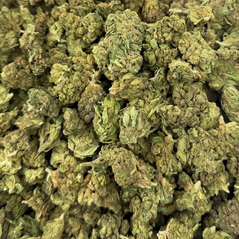 Lemon Headz bulk THCA flower — Plain Jane 1 lb