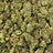 Lemon Headz bulk THCA flower — Plain Jane 1 lb