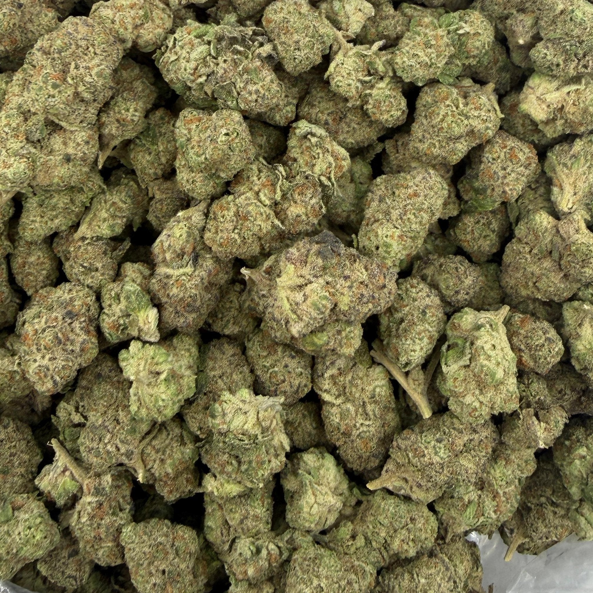 Lemon Zangria bulk THCA flower — Plain Jane 1 lb