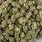 Lemon Zangria bulk THCA flower — Plain Jane 1 lb
