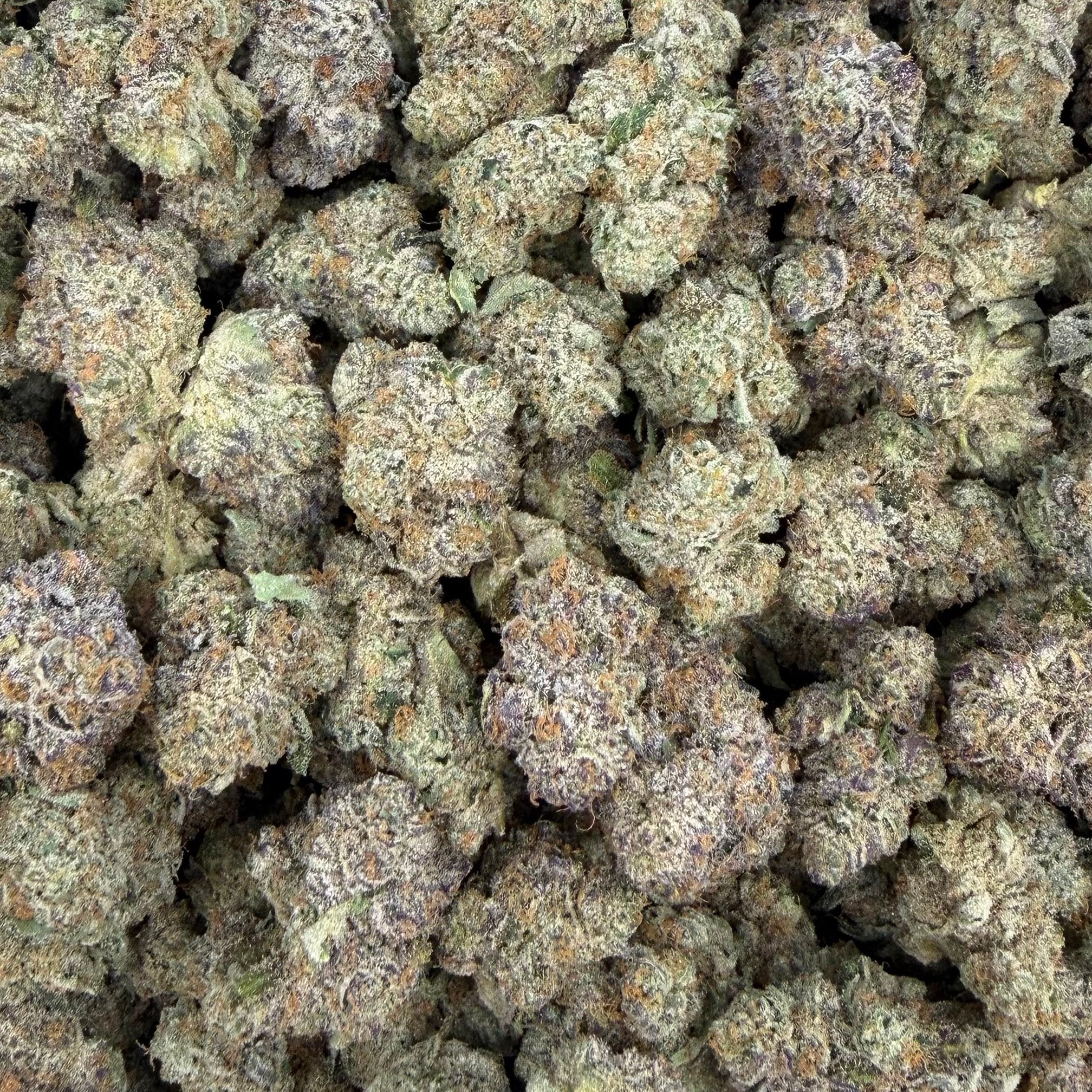 Lemon Zangria bulk THCA flower — Plain Jane 1 lb