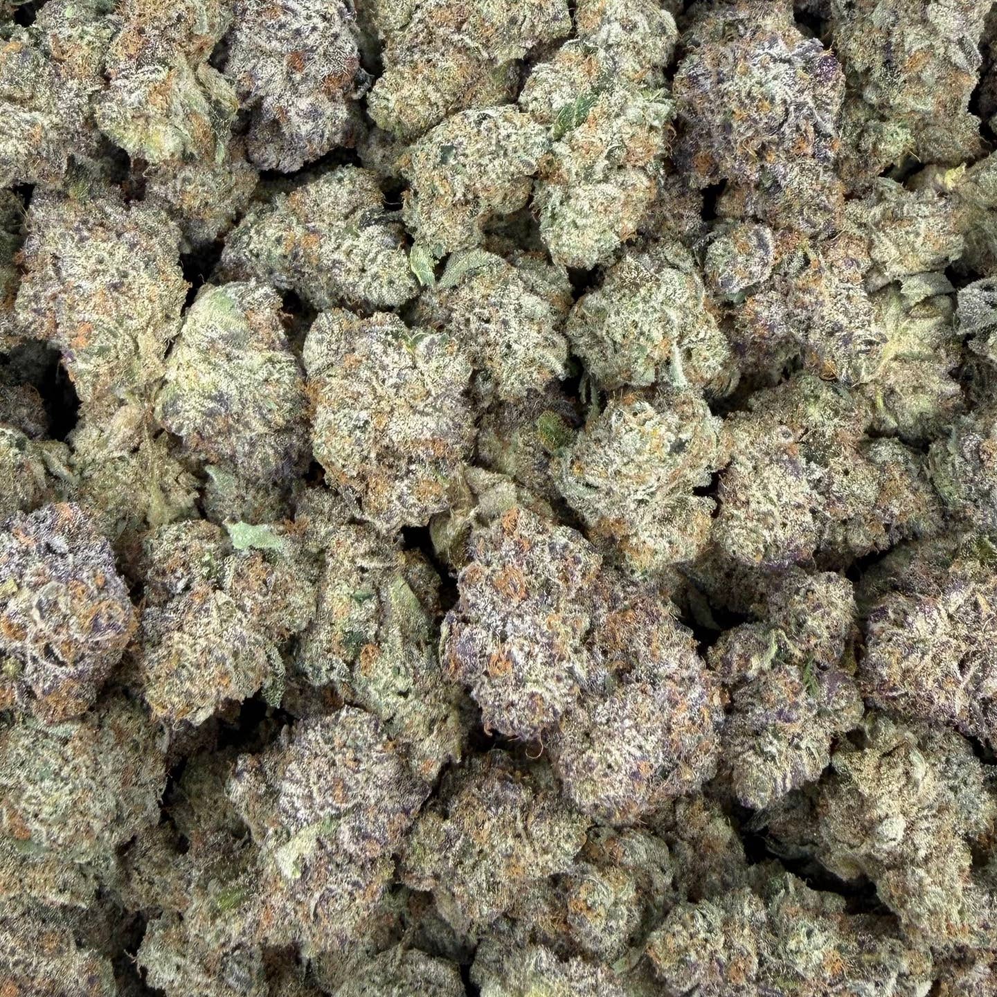 Lemon Zangria bulk THCA flower — Plain Jane 1 lb