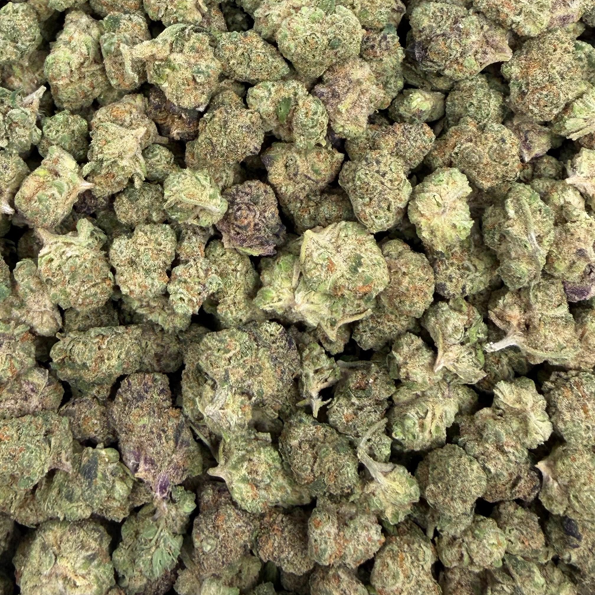 Lemon Zangria bulk THCA flower — Plain Jane 1 lb