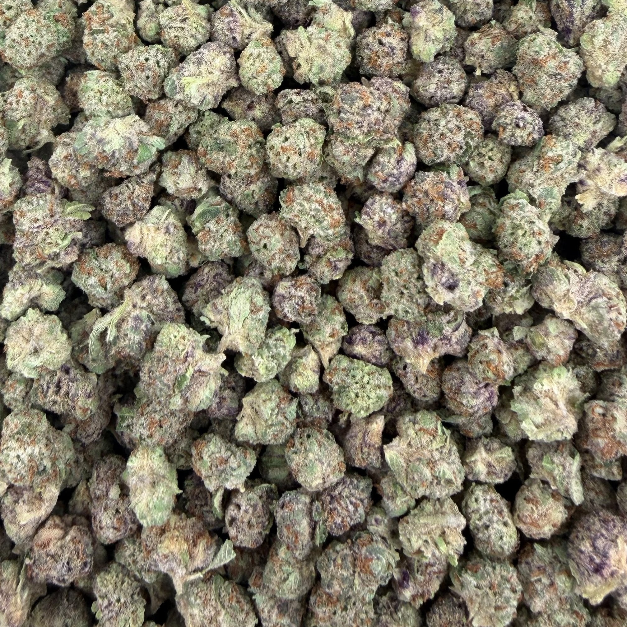 Lemon Zangria bulk THCA flower — Plain Jane 1 lb