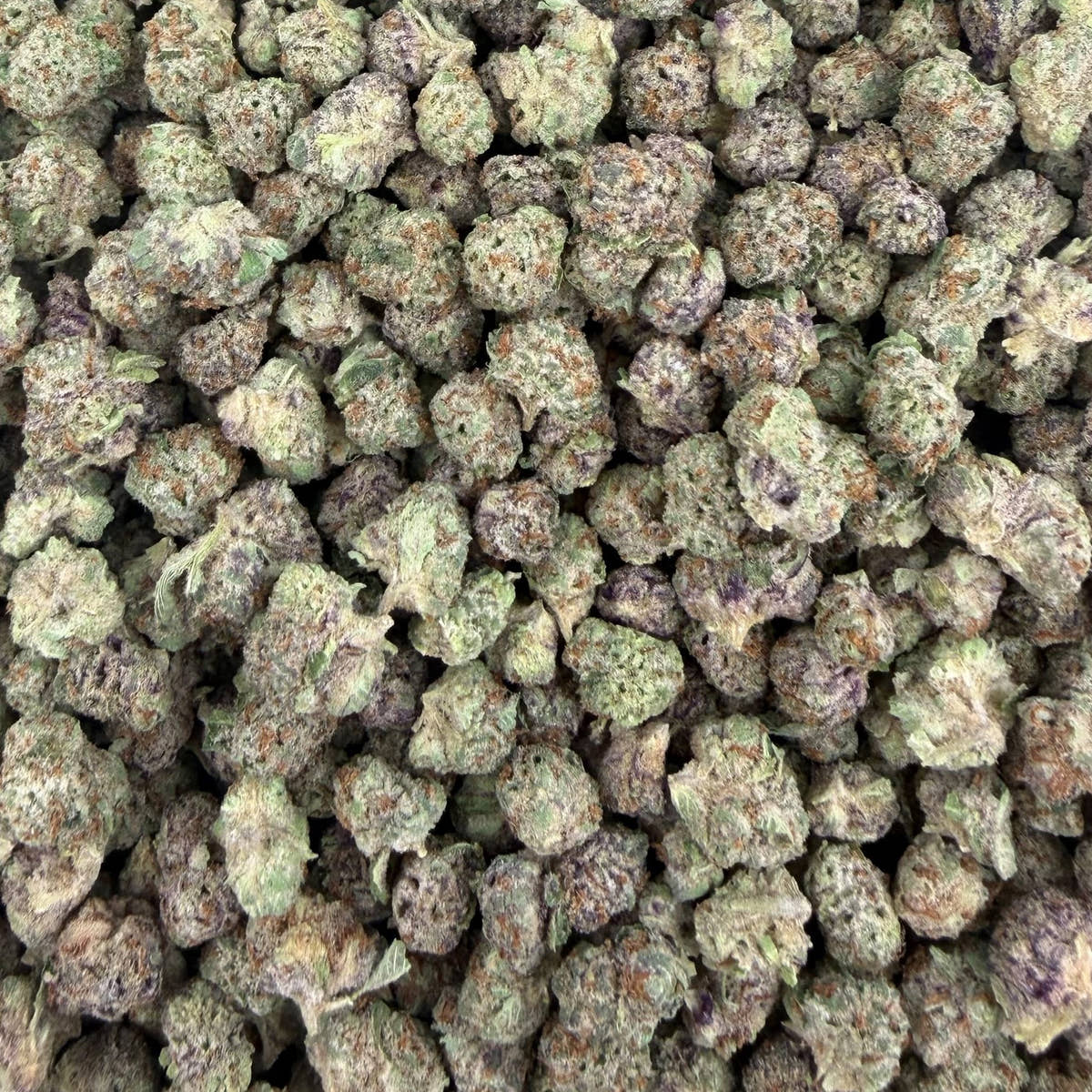 Lemon Zangria bulk THCA flower — Plain Jane 1 lb