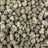 Lemon Zangria bulk THCA flower — Plain Jane 1 lb