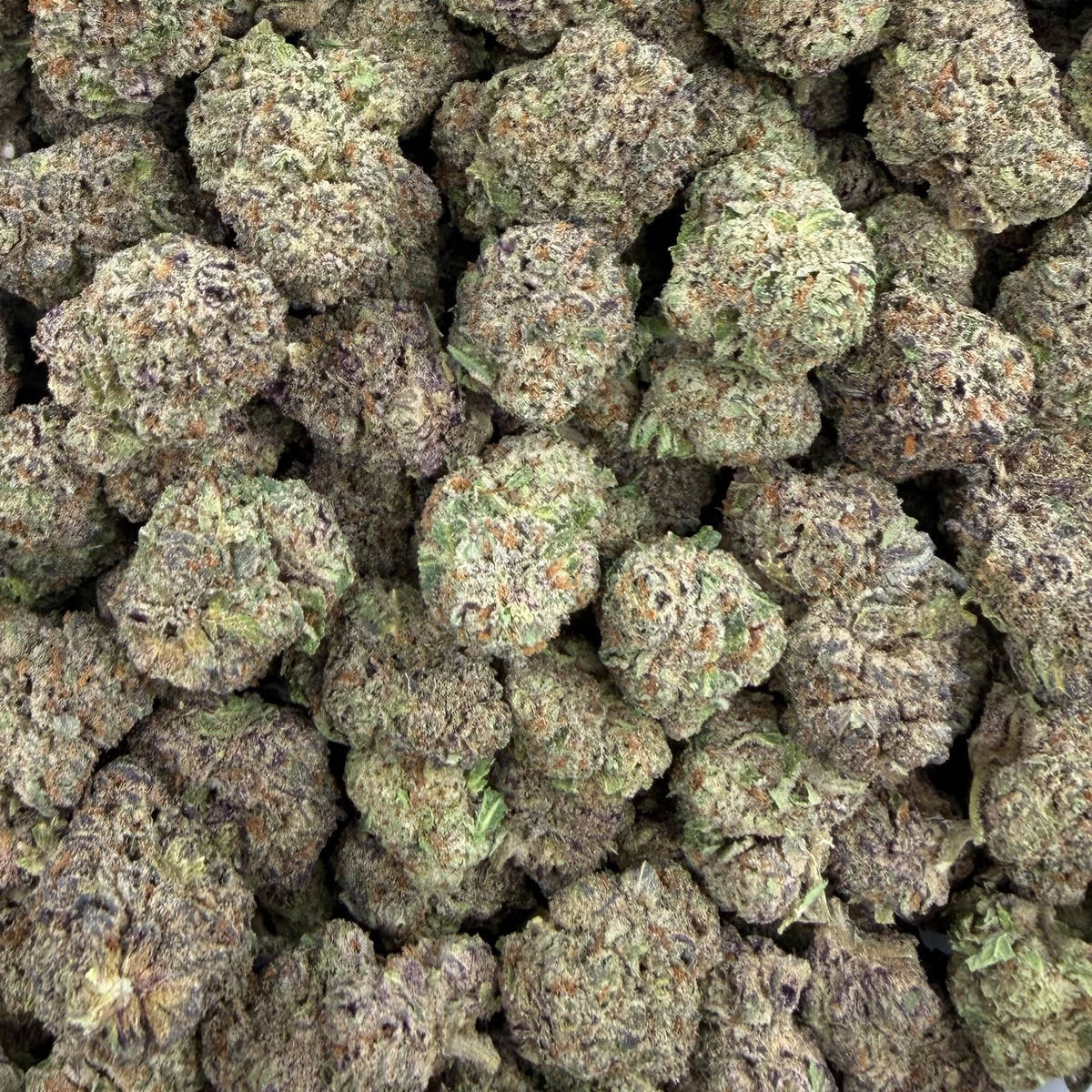 Lemon Zangria bulk THCA flower — Plain Jane 1 lb
