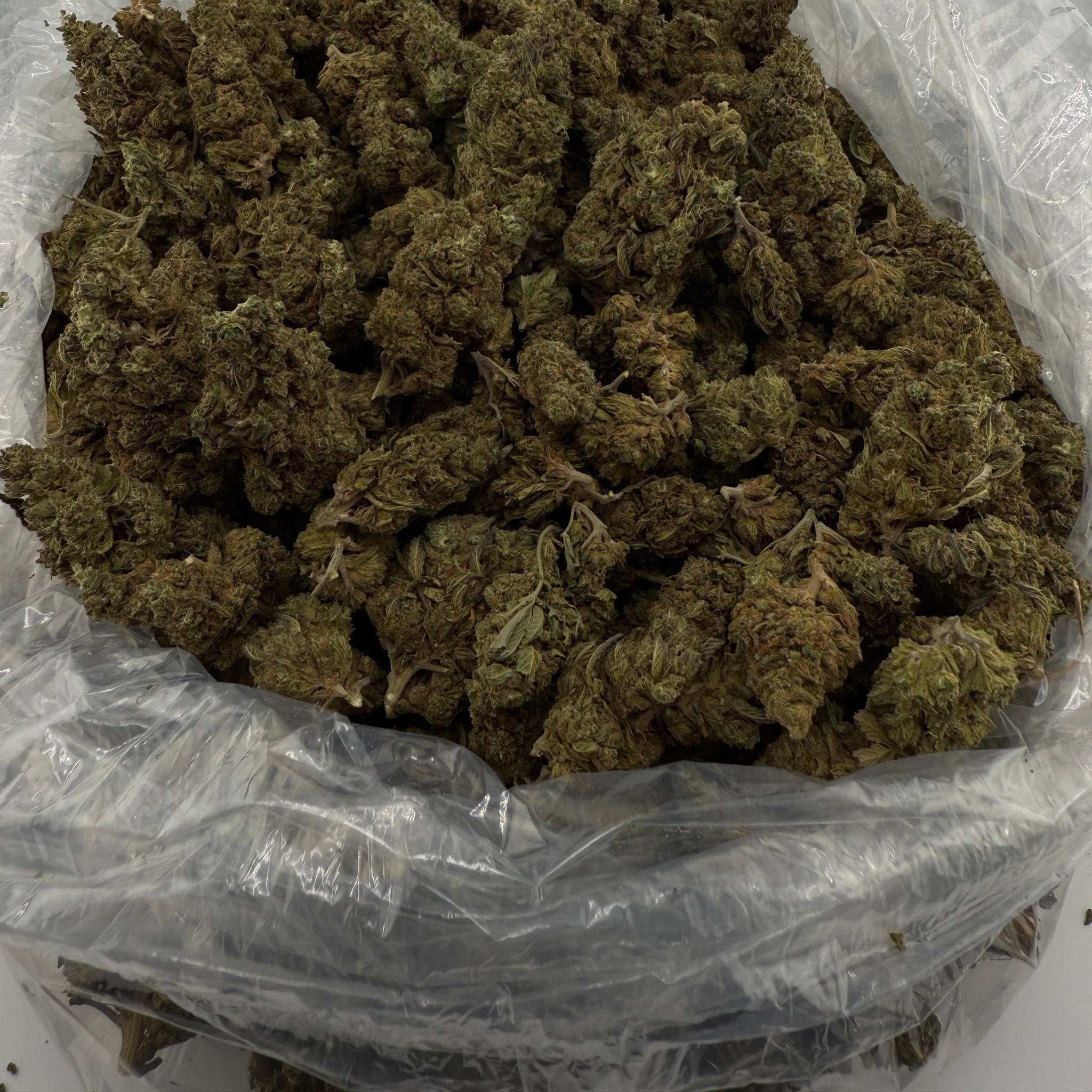 Life Hack bulk THCA flower — Plain Jane 1 lb