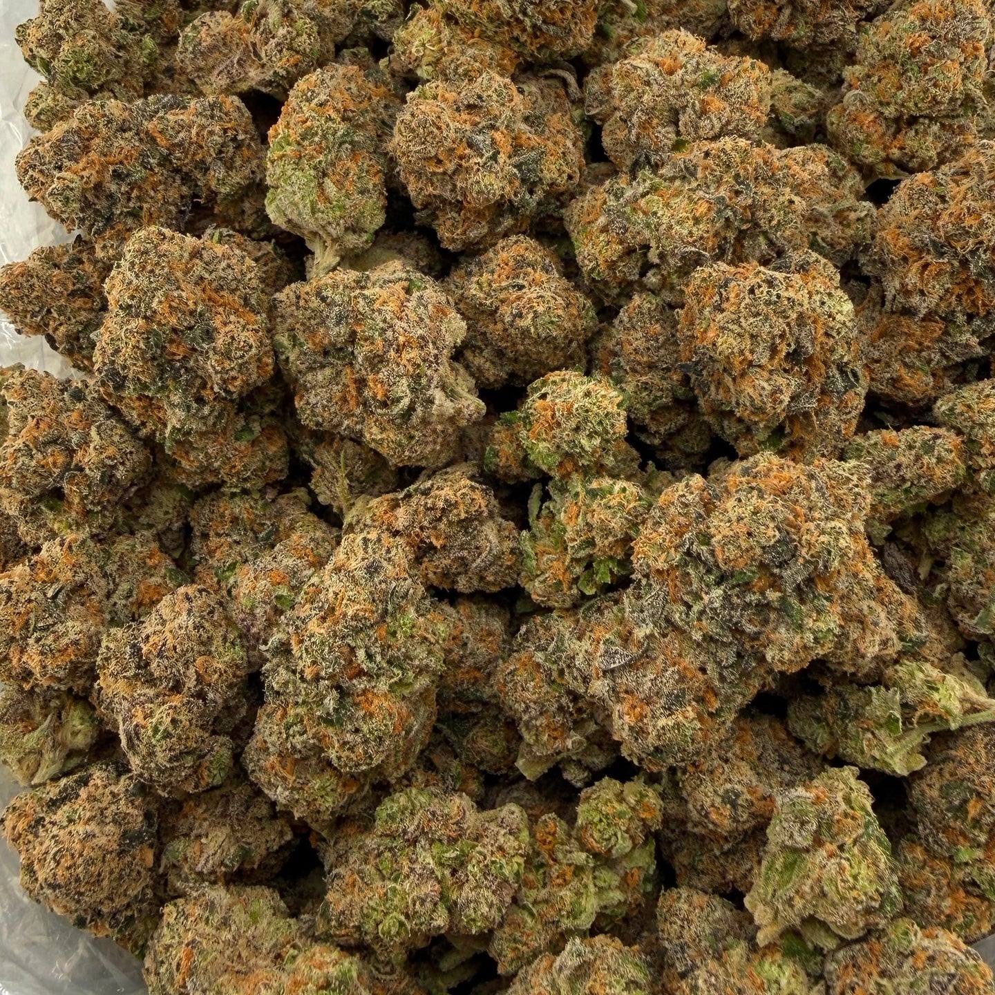Lizard Burger bulk THCA flower — Plain Jane 1 lb