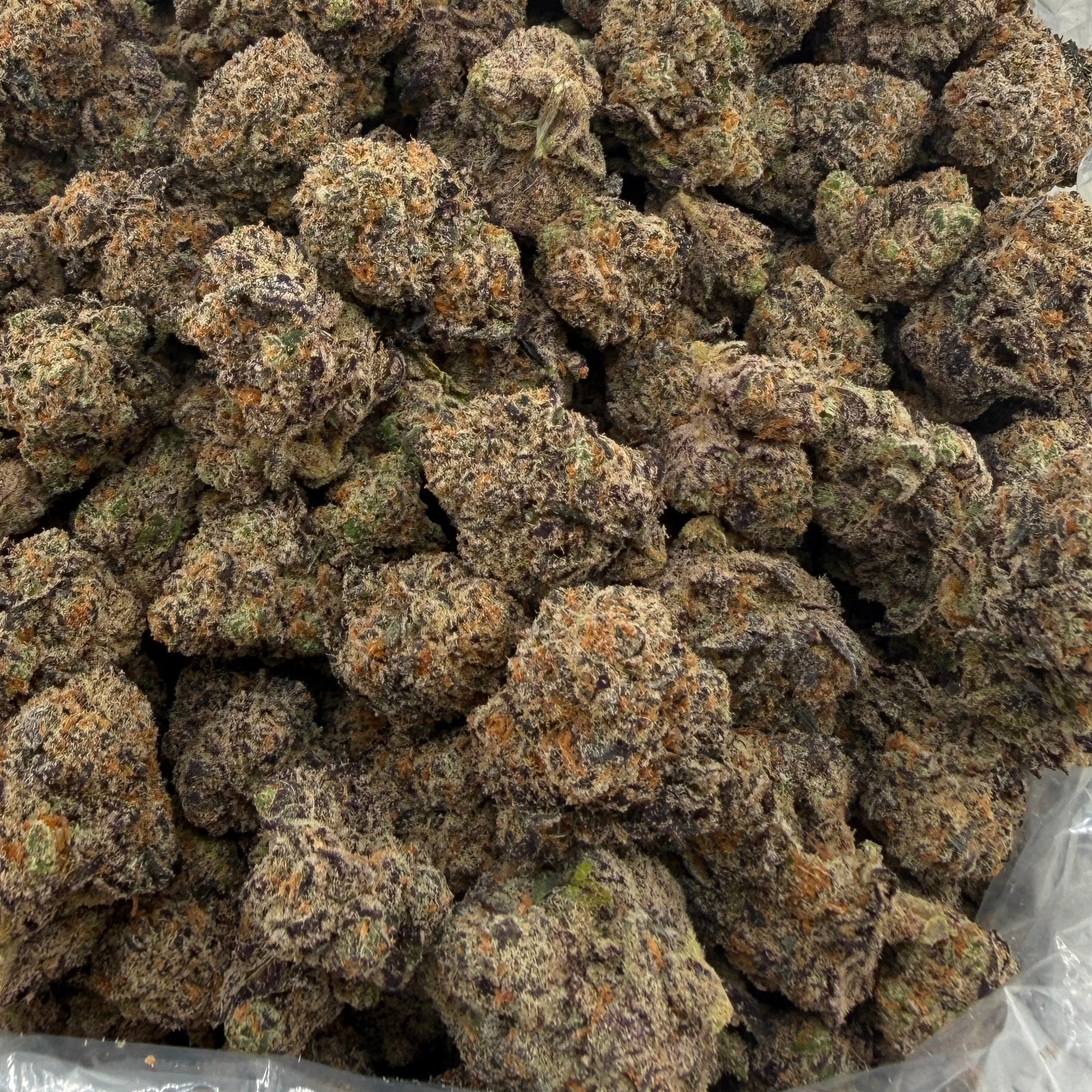 Lizard Burger bulk THCA flower — Plain Jane 1 lb