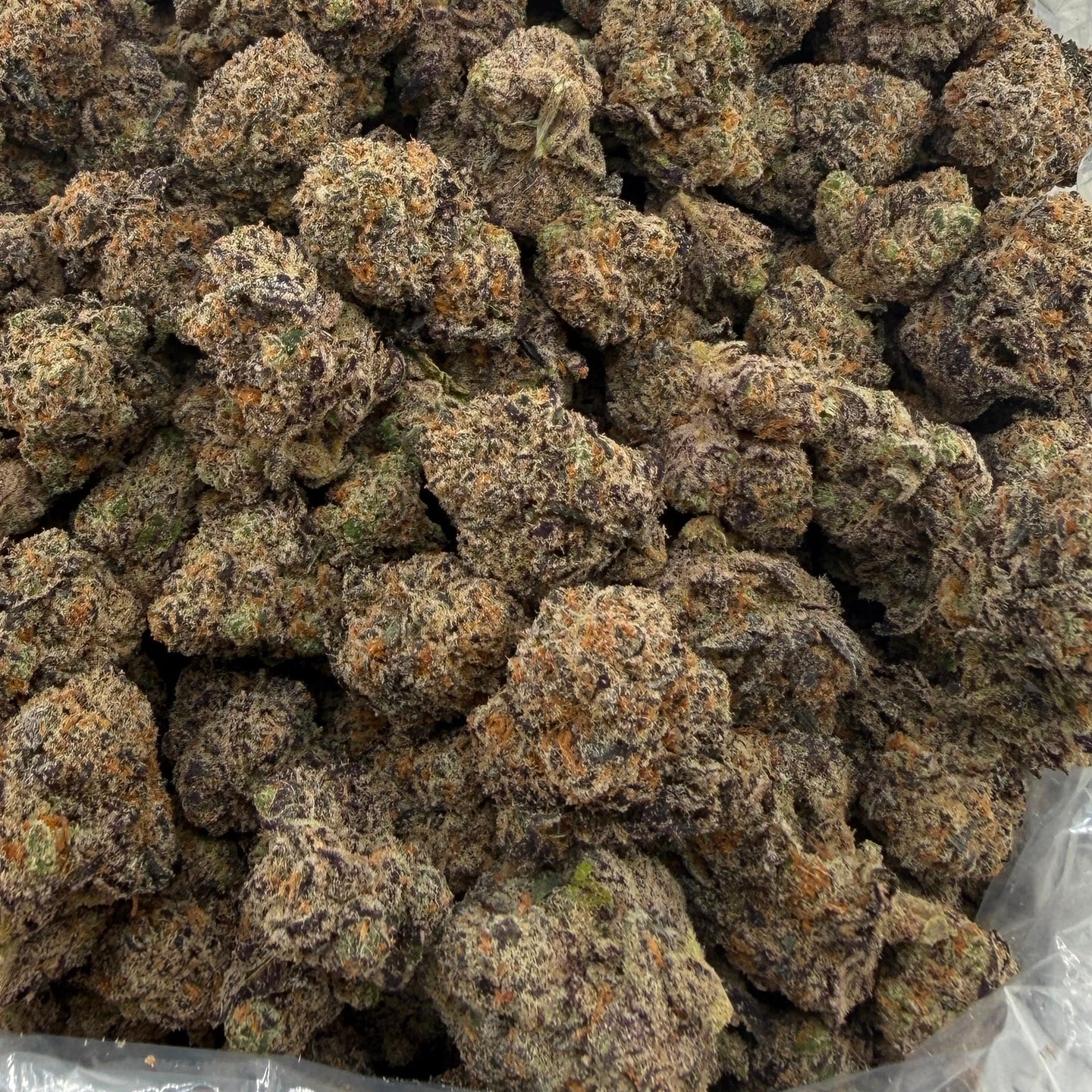 Lizard Burger bulk THCA flower — Plain Jane 1 lb