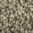 Lizard Burger bulk THCA flower — Plain Jane 1 lb