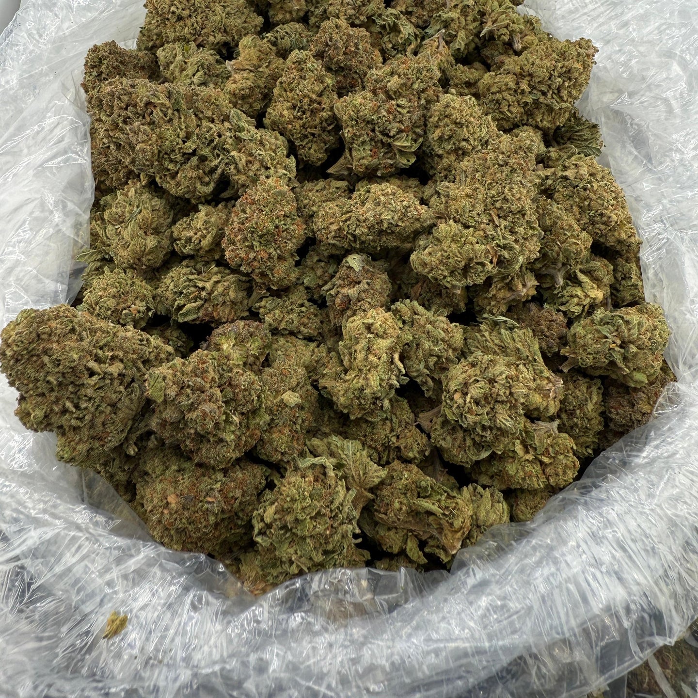 London Purp bulk THCA flower — Plain Jane 1 lb