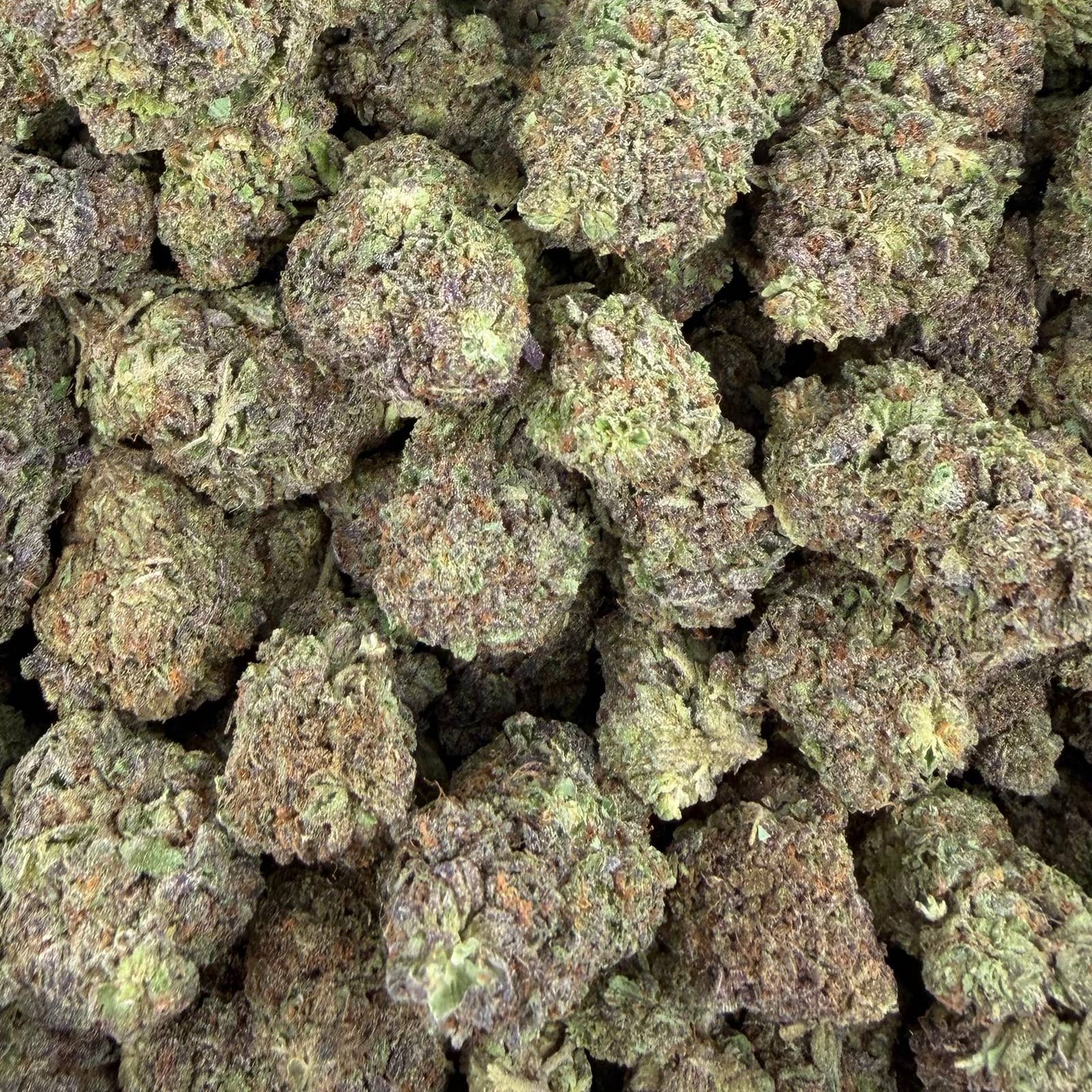 London Purp bulk THCA flower — Plain Jane 1 lb