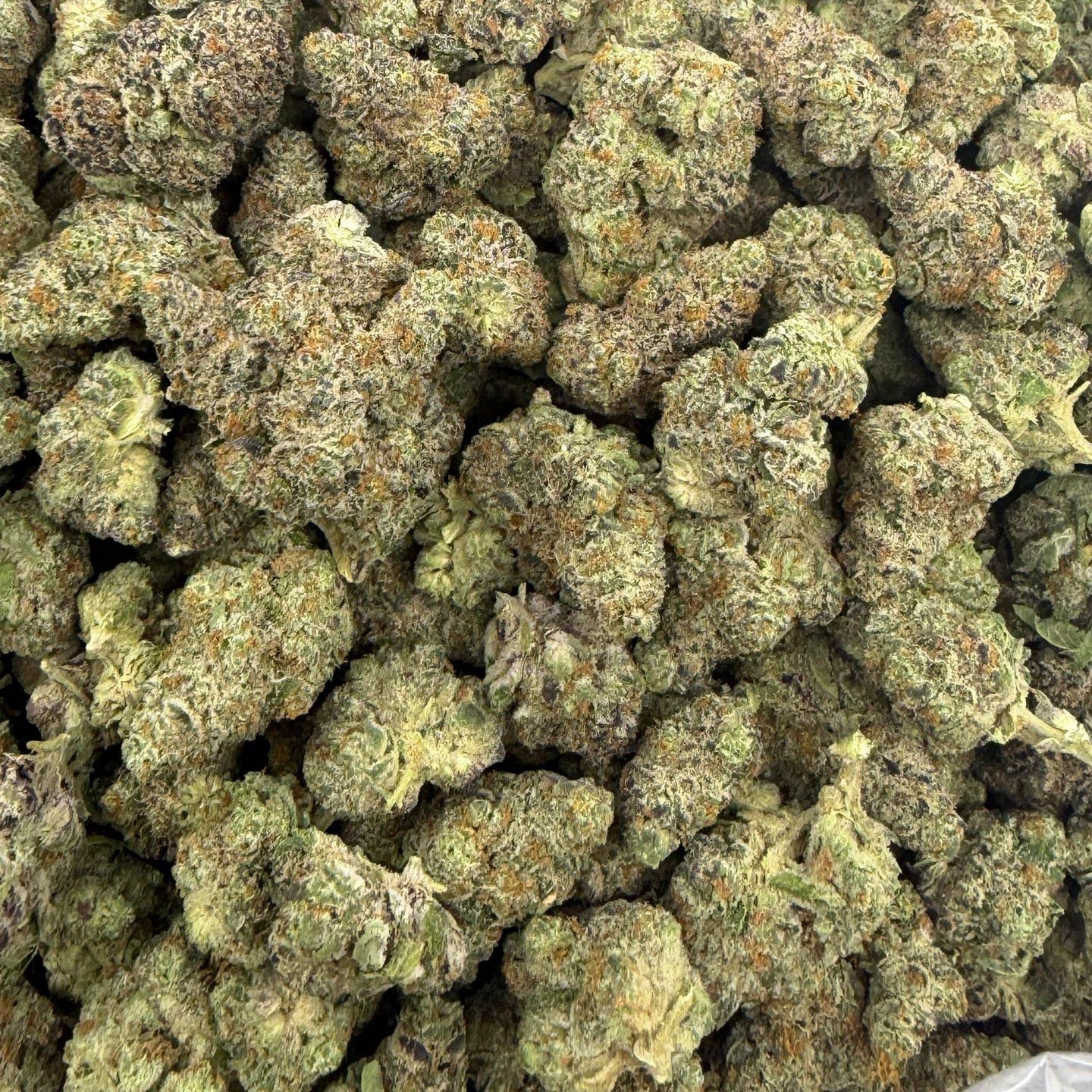 London Truffle bulk THCA flower — Plain Jane 1 lb