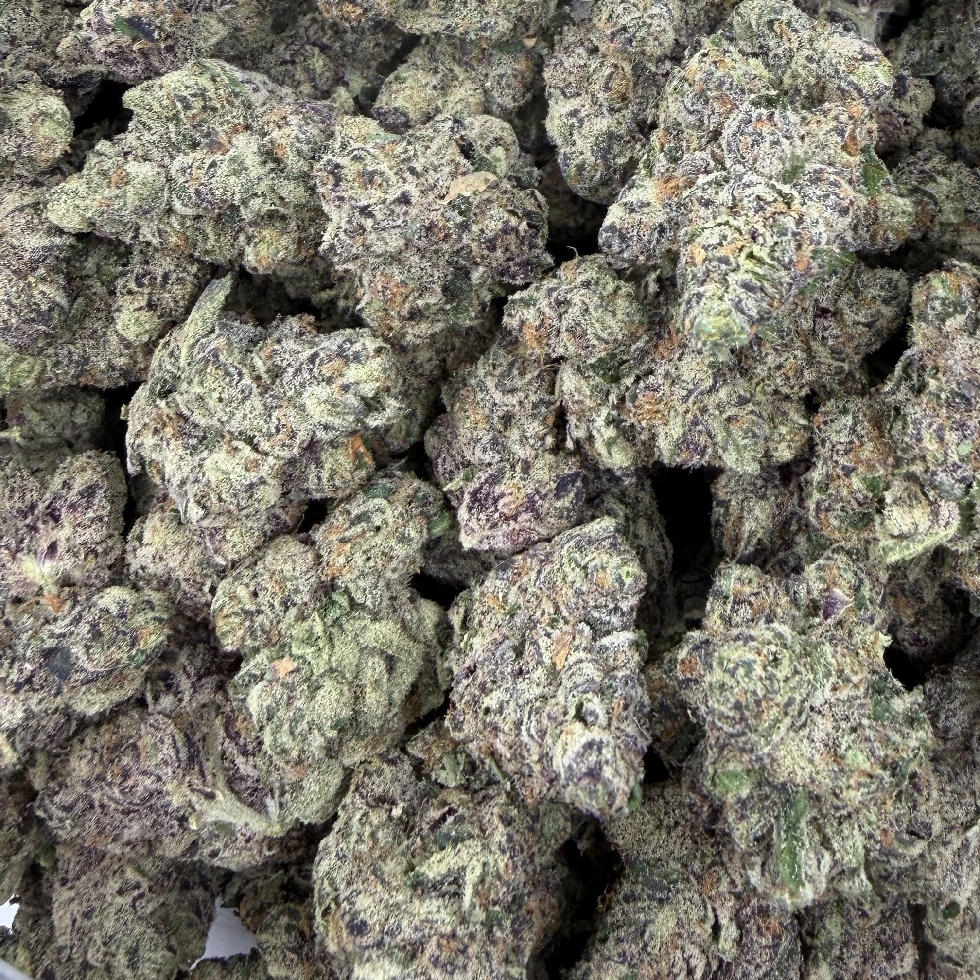 London Truffle bulk THCA flower — Plain Jane 1 lb