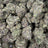 London Truffle bulk THCA flower — Plain Jane 1 lb