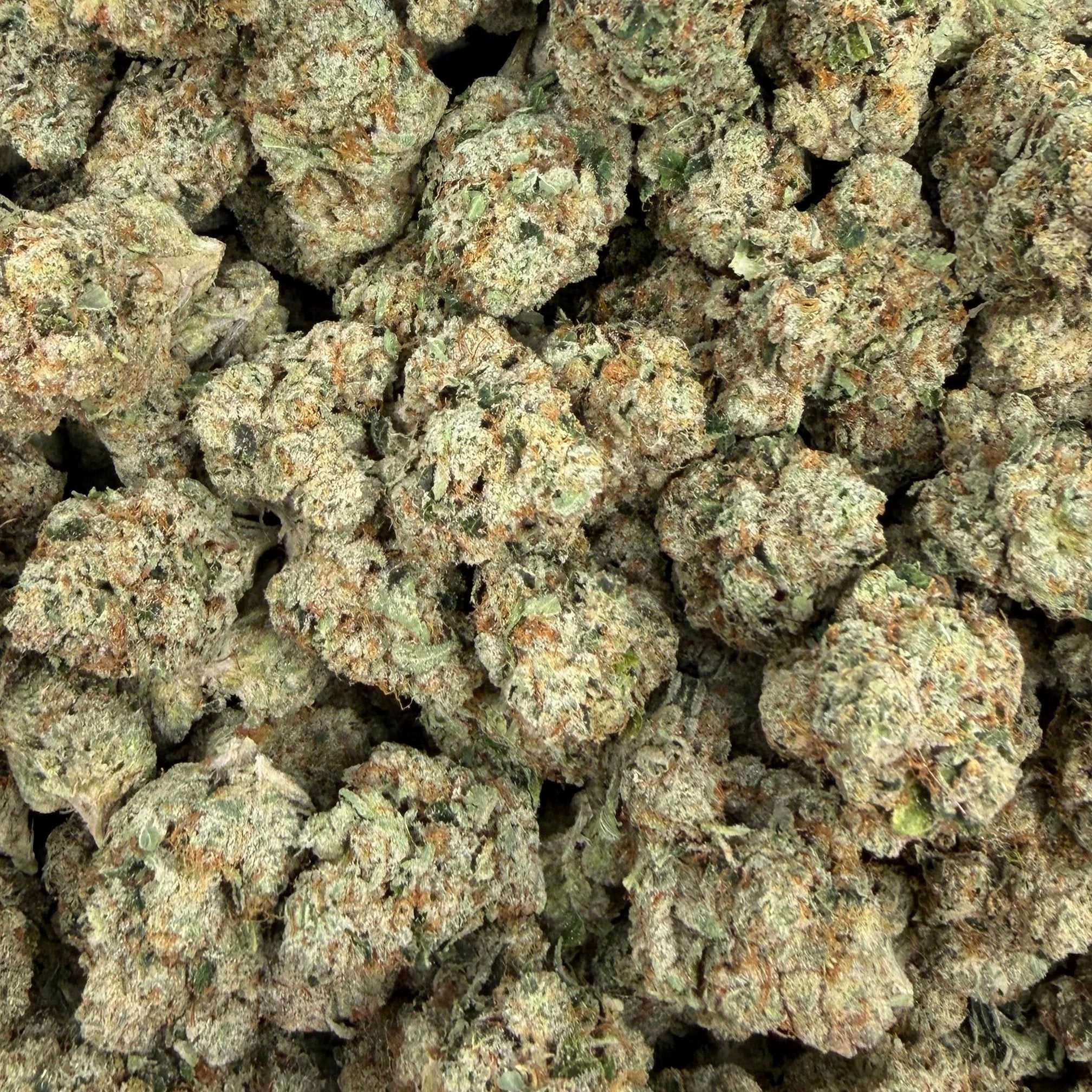 Mac 1 bulk THCA flower — Plain Jane 1 lb