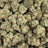 Mac 1 bulk THCA flower — Plain Jane 1 lb