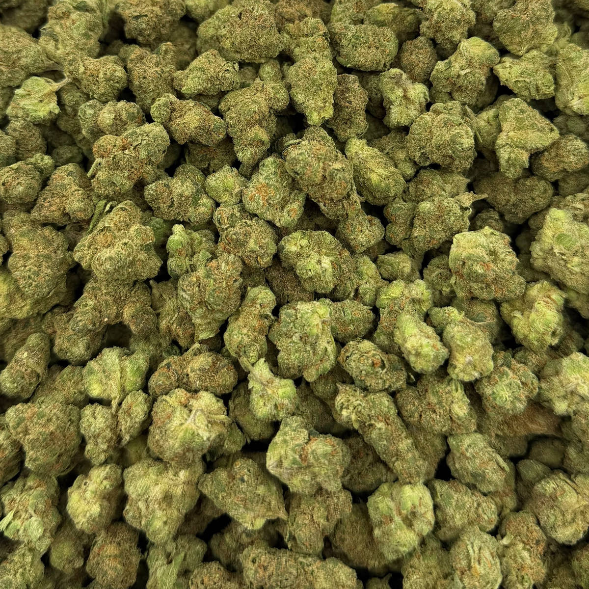 Mac Attack bulk THCA flower — Plain Jane 1 lb