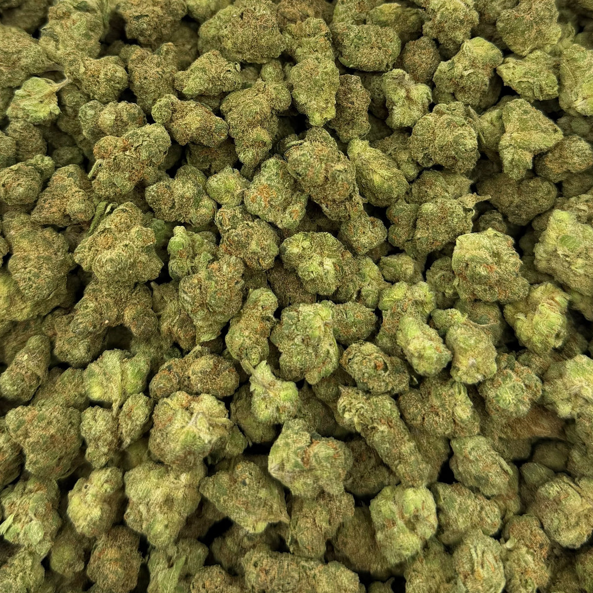 Mac Attack bulk THCA flower — Plain Jane 1 lb