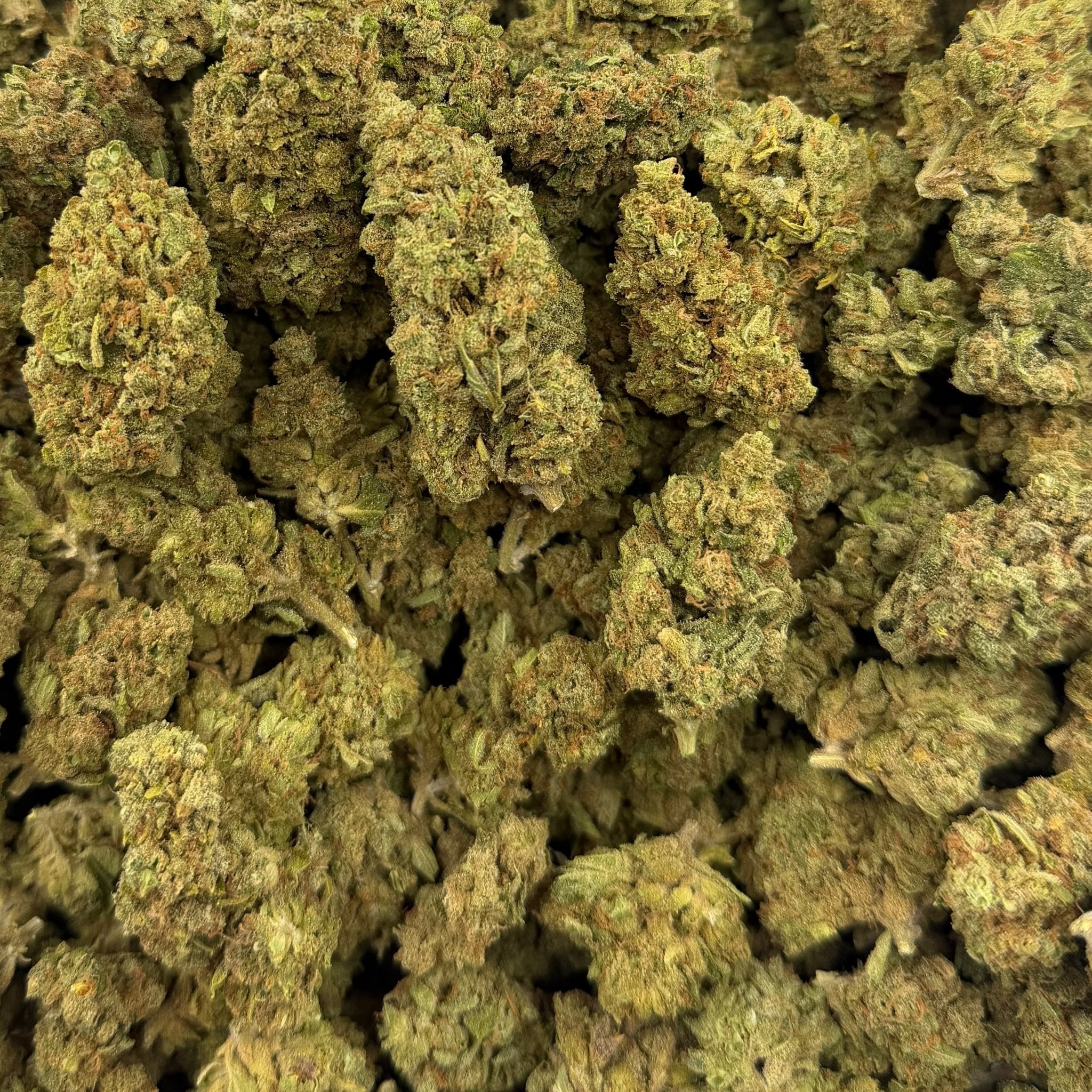 Maddfruit bulk THCA flower — Plain Jane 1 lb