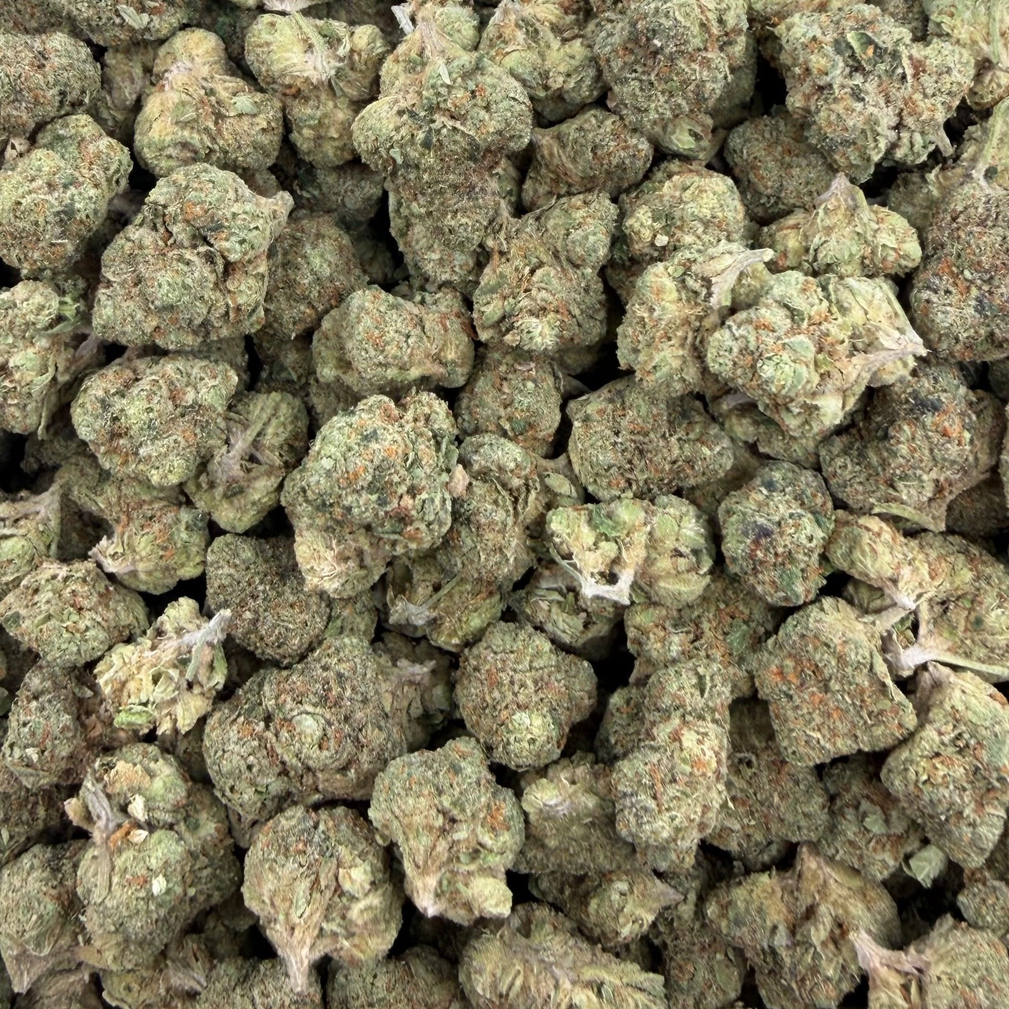 Mendos Breath bulk THCA flower — Plain Jane 1 lb