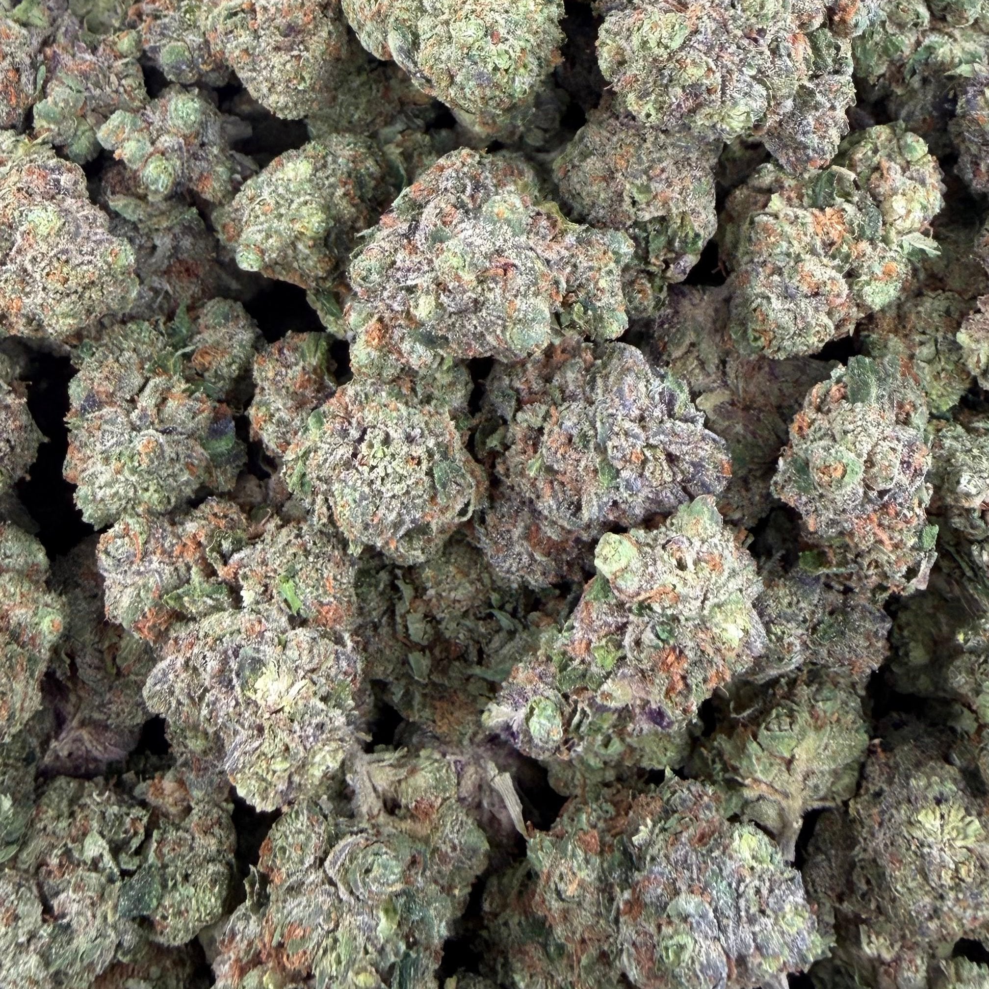 Miami Heat bulk THCA flower — Plain Jane 1 lb