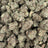 Miami Heat bulk THCA flower — Plain Jane 1 lb