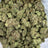 MJ Mintz bulk THCA flower — Plain Jane 1 lb