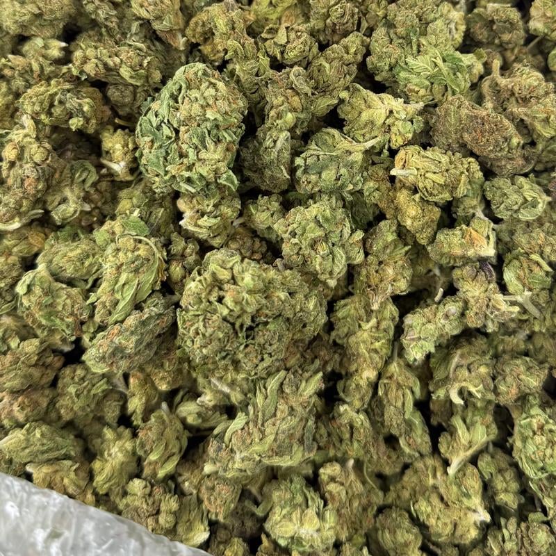 MJ Mintz bulk THCA flower — Plain Jane 1 lb