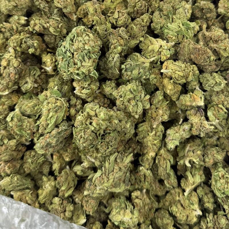 MJ Mintz bulk THCA flower — Plain Jane 1 lb