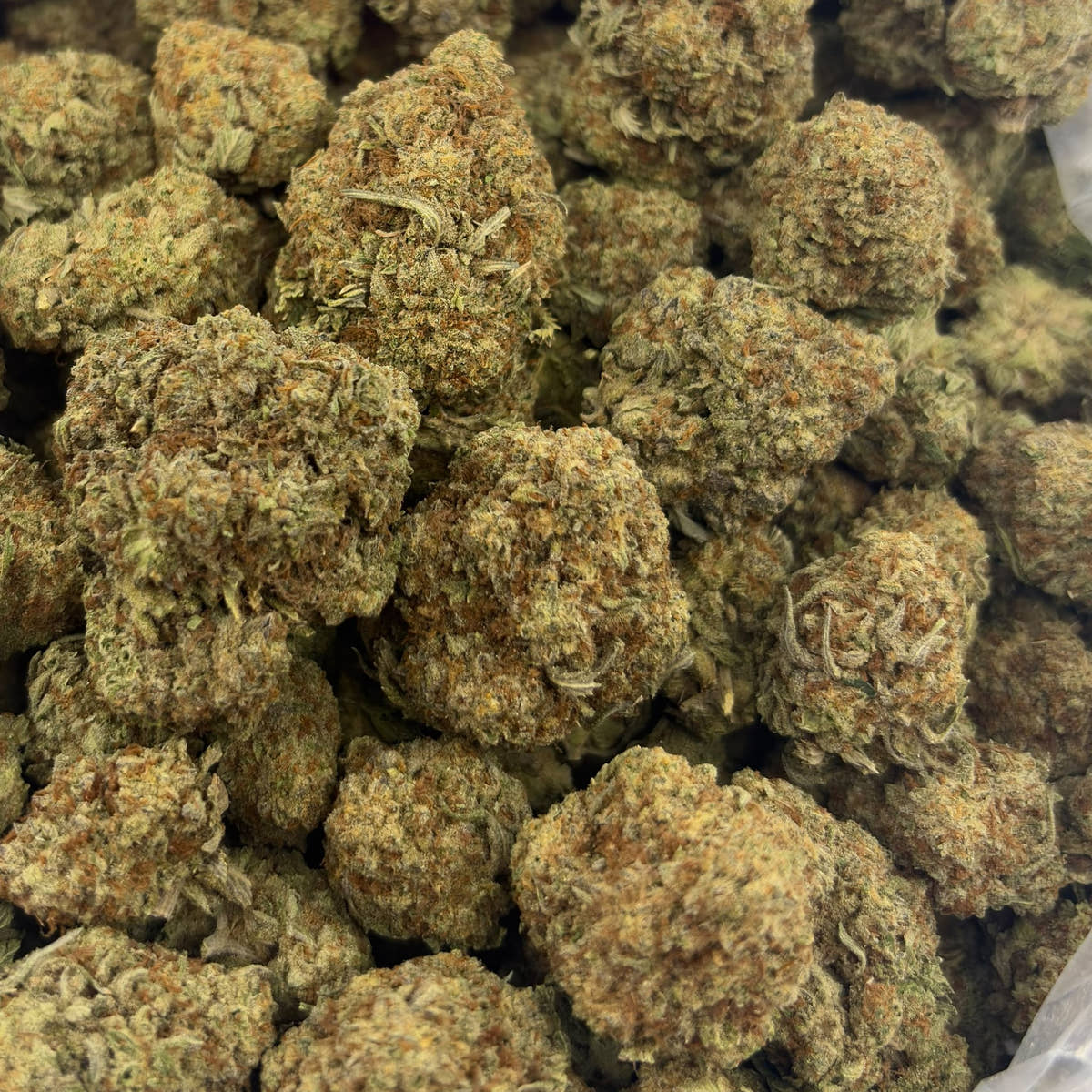 Mob bulk THCA flower — Plain Jane 1 lb