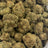 Mob bulk THCA flower — Plain Jane 1 lb