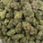 Moby Dick bulk THCA flower — Plain Jane 1 lb