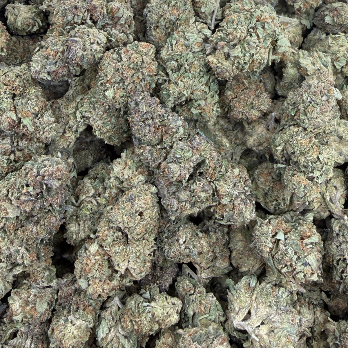Modified Grapes bulk THCA flower — Plain Jane 1 lb