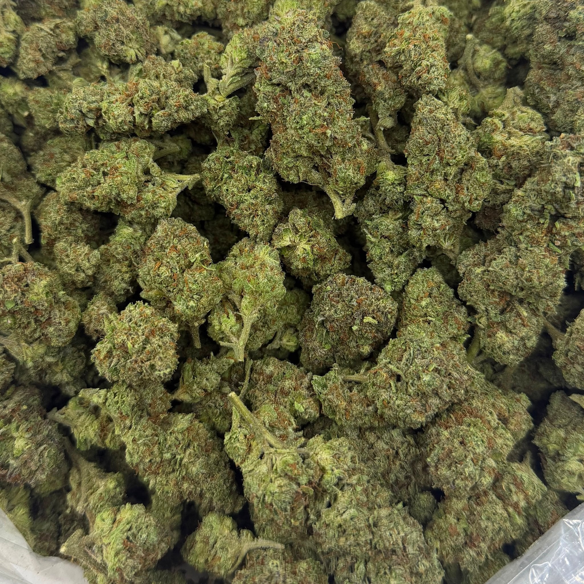 Modified Mintz bulk THCA flower — Plain Jane 1 lb