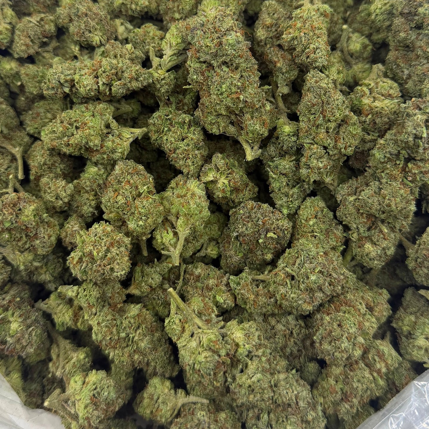 Modified Mintz bulk THCA flower — Plain Jane 1 lb