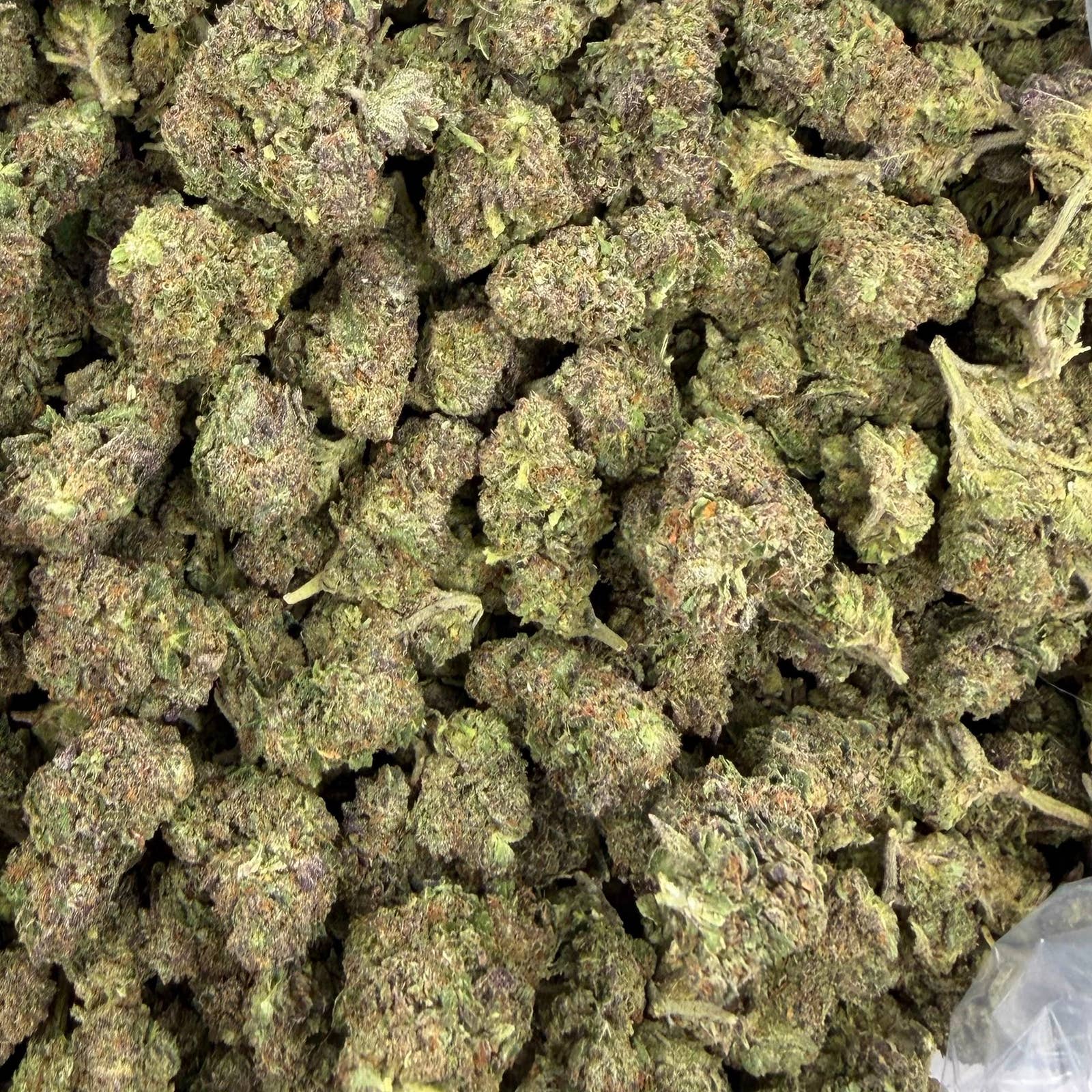 Modified Mintz bulk THCA flower — Plain Jane 1 lb