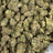 Modified Mintz bulk THCA flower — Plain Jane 1 lb