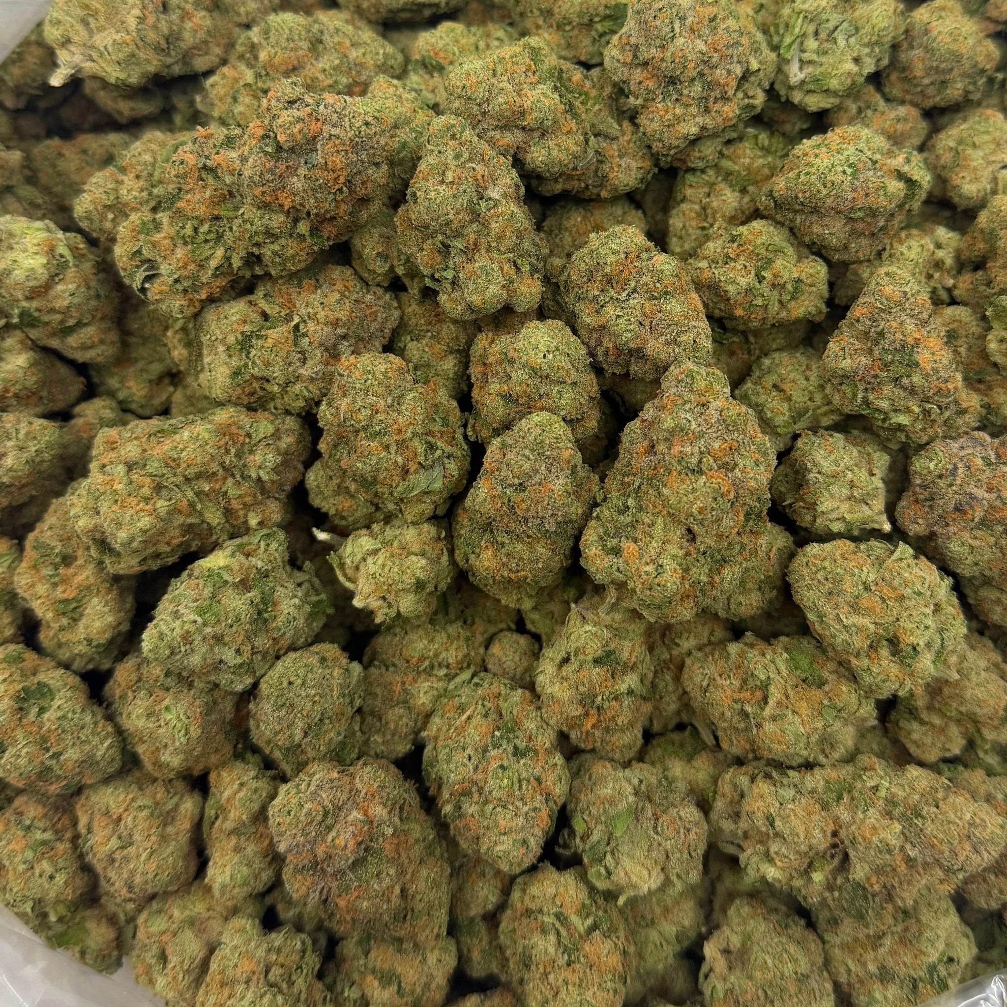 Mojito bulk THCA flower — Plain Jane 1 lb