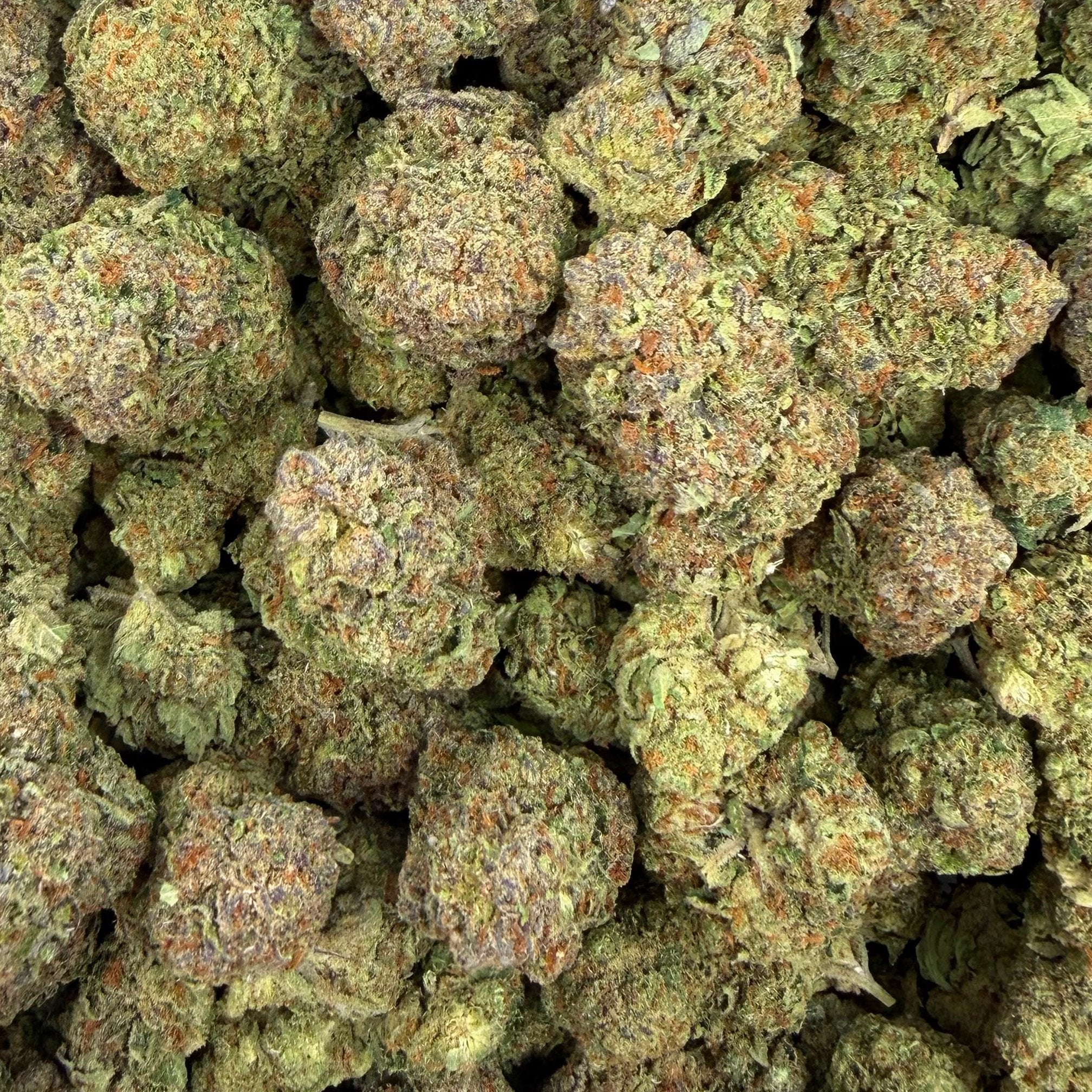Mojito bulk THCA flower — Plain Jane 1 lb