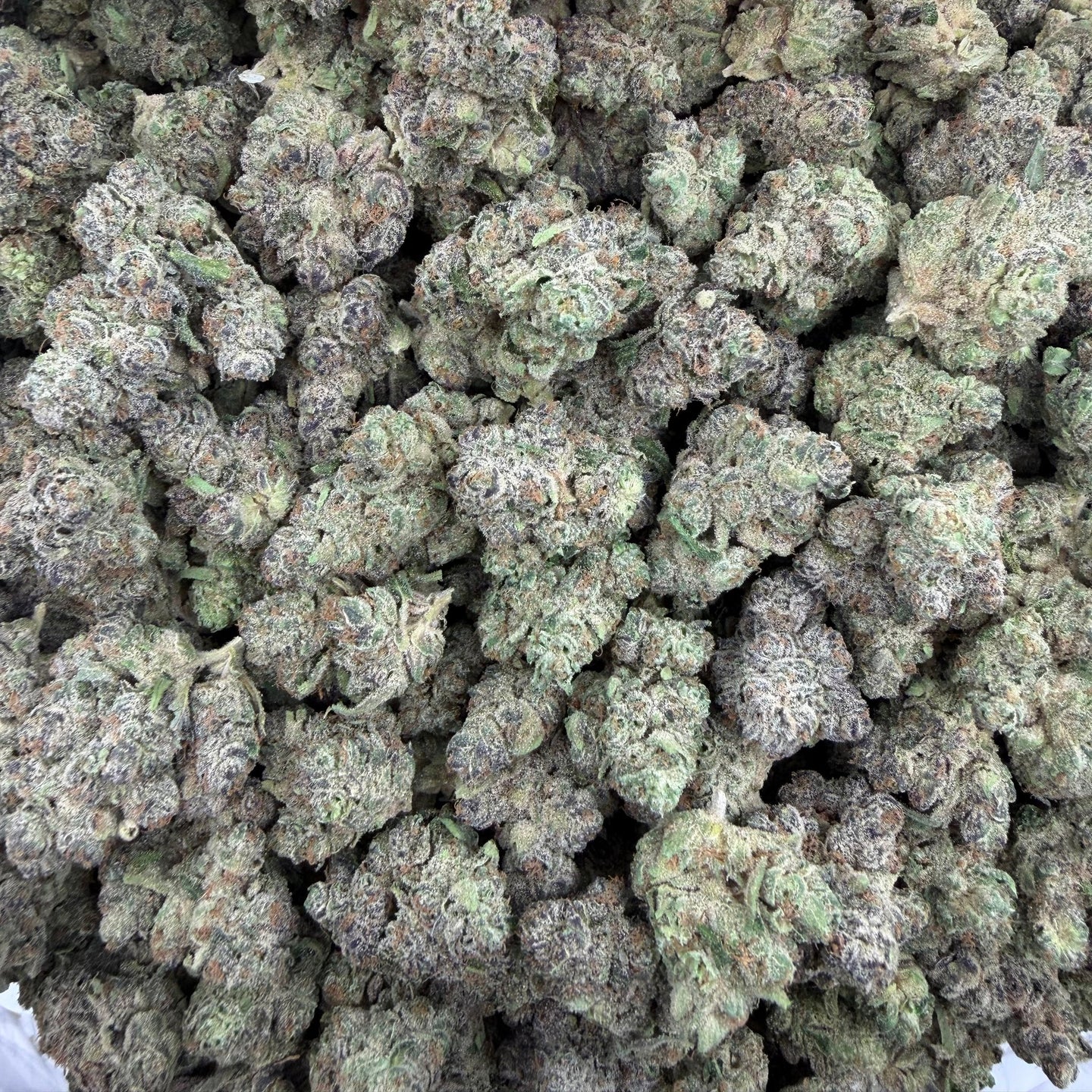 Moon Fog bulk THCA flower — Plain Jane 1 lb