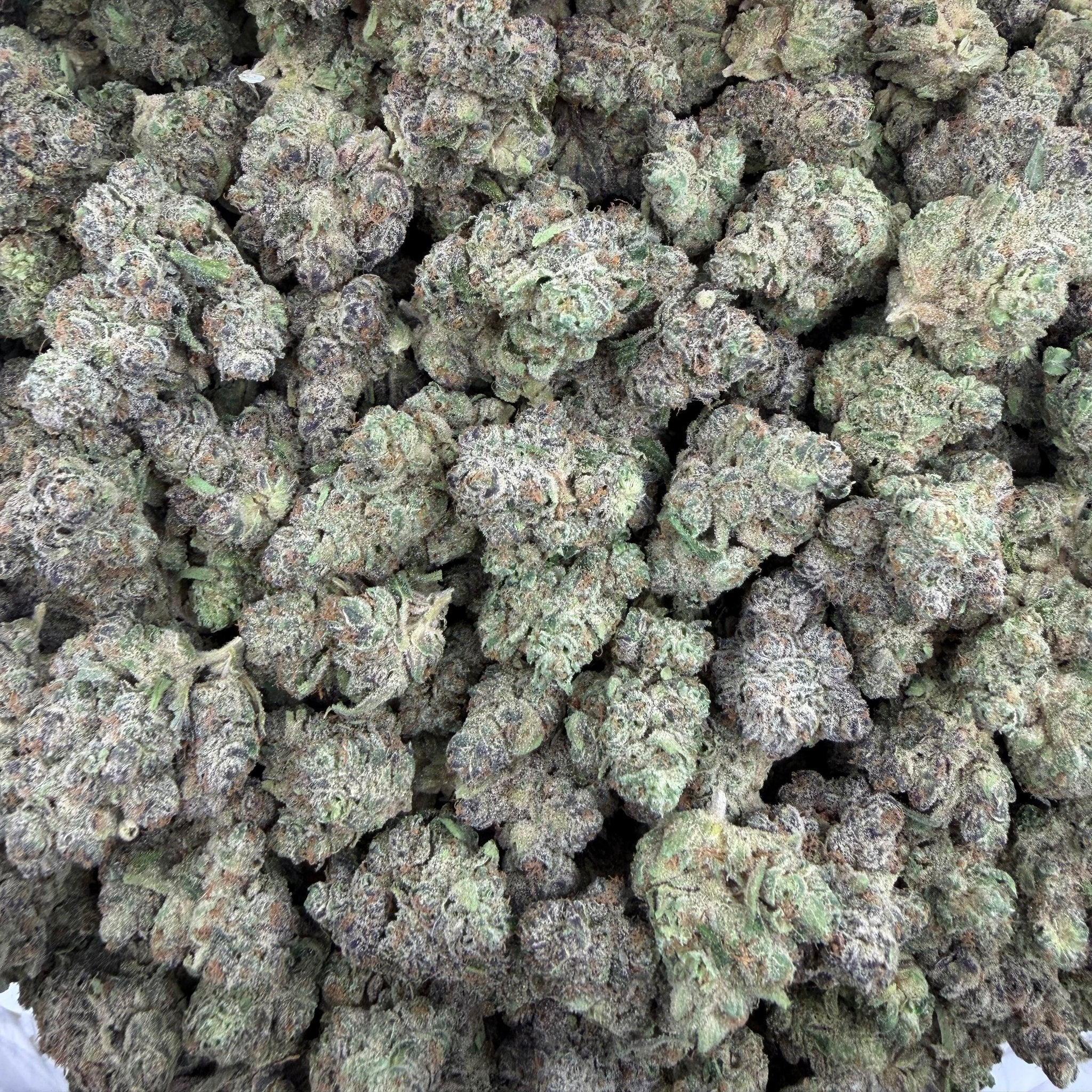 Moon Fog bulk THCA flower — Plain Jane 1 lb