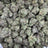 Moon Fog bulk THCA flower — Plain Jane 1 lb