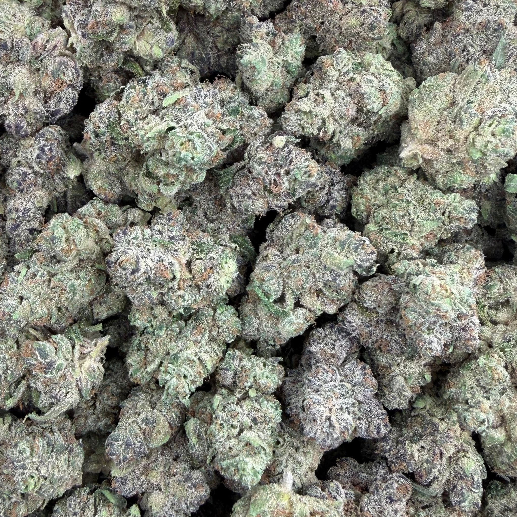 Moon Fog bulk THCA flower — Plain Jane 1 lb